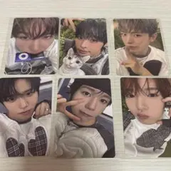 nct wish color トレカ コンプ シオン リク ユウシ サクヤ