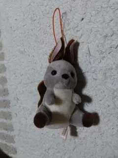 くったりエゾリス ぬいぐるみ 2体セット - メルカリ