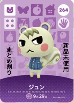 ⭐︎週末セール⭐︎あつ森　amiibo ジュン 264