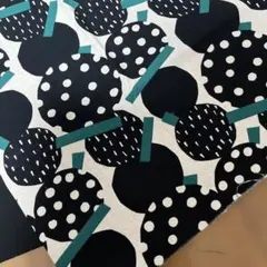 生地（柄と黒の無地2枚セット）う早この布　こばやし