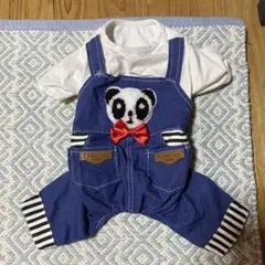 Item thumbnail for item fed23425-b1fd-43d1-bb56-ef3c4bc01405