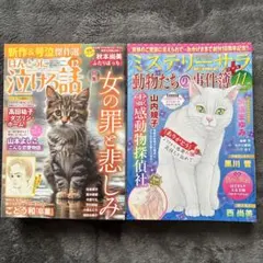 レディースコミック　２冊