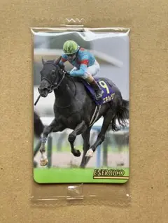 2699 エネルジコ まねき馬倶楽部　競馬　カード