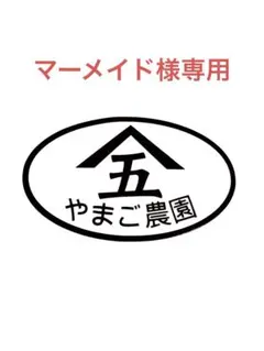 マーメイド様専用