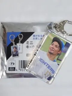 伊藤大海 応援グッズ