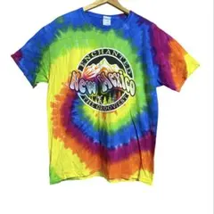 colortone タイダイ Tシャツ Lサイズ{US古着}