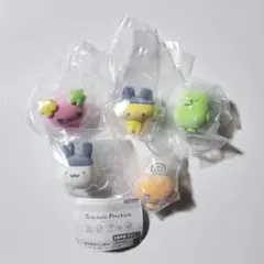 たまごっち カプセルフロッキーズ ガチャ 全5種 コンプセット