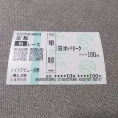 馬券　なつかしい単勝馬券 ダディーズビビッド しらさぎS 現地単勝馬券【外れ馬券】記念