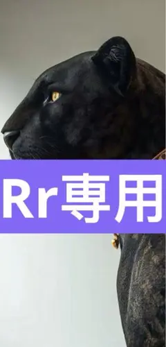 Rr専用