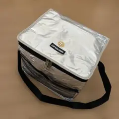 Item thumbnail for item 3e4dd669-191a-4a05-9908-8b96c94d9bdc