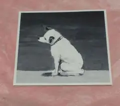 カヒミ・カリィ Music For Nipper 中古CD