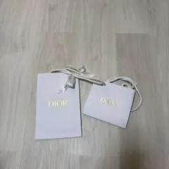 Dior ショップ袋・2枚セット