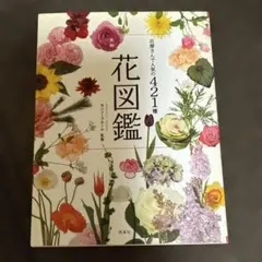 Item thumbnail for item 4a35c7d2-0081-4362-98dd-e08b6de6931c