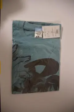 絶滅危愚少女 Amazing Twins 愚少女Tシャツ/セージブルー-XL