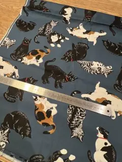 Item thumbnail for item e66870f0-567a-431f-addc-a70a9f7711c5