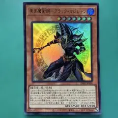 アメリカカールプロフィール絶対確認必須様 リクエスト 2点 まとめ商品