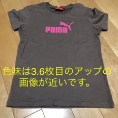 【新品、未使用】プーマ　レディース　Tシャツ　ブラウン×ピンク