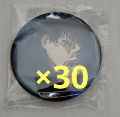 呪術廻戦 伏黒恵 ジャンプGIGA 缶バッジ 30個