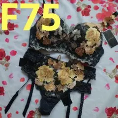 新品サルート店舗限定59GフォークロアF75ソングMガーターベルトMプレステージ