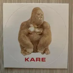 2026年最新】kare ゴリラの人気アイテム - メルカリ