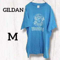 GILDAN 半袖 Tシャツ ブルー 【M】 インポート古着 1点物