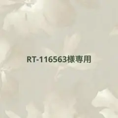 RT-116563様専用ページ