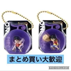 【新品未開封】ワンピの実ミクロ　ルフィ