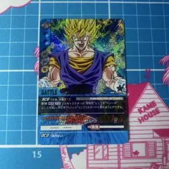 ドラゴンボール データカードダス ベジット 189