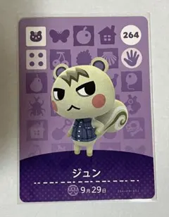 どうぶつの森　amiiboカード　ジュン　5枚 2026年最新】amiibo どうぶつの森 ジュンの人気アイテム - メルカリ