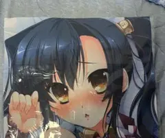 2026年最新】恋姫 関羽 抱き枕カバーの人気アイテム - メルカリ