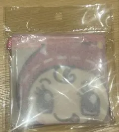 ナルミヤキャラクターズ　クリアフラットポーチ　ベリエちゃん　ハッピーパーク
