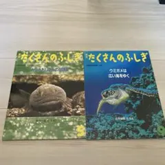 月刊たくさんのふしぎ　2冊　1999年