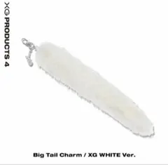2026年最新】TAIL charm xgの人気アイテム - メルカリ