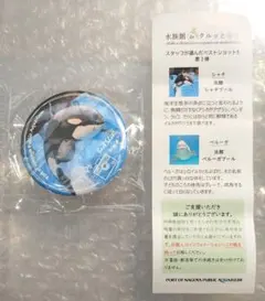 2026年最新】水族館deクルッと寄付の人気アイテム - メルカリ