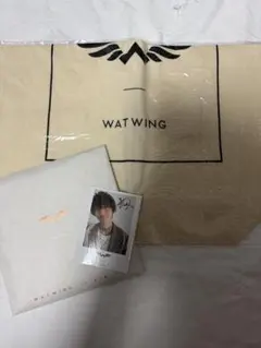 WATWING トートバッグ ＆CDのサムネイル