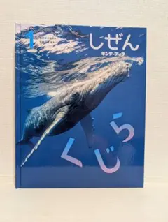 2025年最新】キンダーブック しぜん つきの人気アイテム - メルカリ