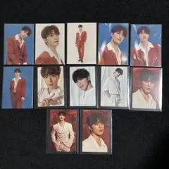 SEVENTEEN Be the sun トレカ　ディノ