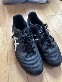 アシックス DS LIGHT WIDE ブラック×シルバー 28cm