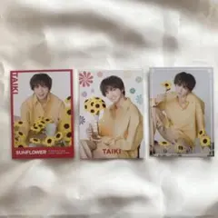 【匿名配送】FANTASTICS 佐藤大樹 フォトカ コンプ SUNFLOWER