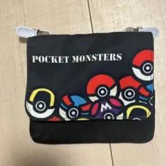 ポケットモンスター 移動ポケット