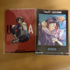 CRAZY RACCOON うるかカードセット