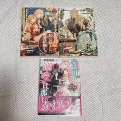 TL小説 3冊セット【花菱 ななみ　葛城阿高】