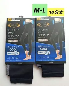 Item thumbnail for item b66a3d16-8698-44e8-82e0-bc0a3fd17153