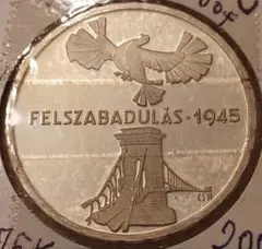 アルベルトシュバイツァー記念メダル銀1875 1965 イギリス製 - メルカリ