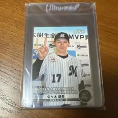 Item thumbnail for item 2ccf3c95-bc89-4f7d-b3c8-c28d83f50fd0