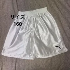 Item thumbnail for item 3c6fe716-1d58-4b31-bf5a-a77c98fbb22b