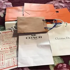 エルメス、コーチ、Dior．ＶＵＩTTＯNの  ショッピングバッグです