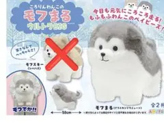 ころりんわんこのモフまる STサイズ 【全3種類コンプリートセット