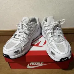 NIKE 25cm スニーカー P6000 GSモデル