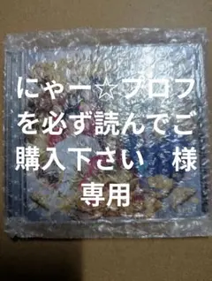にゃー☆プロフを必ず読んでご購入下さい　様専用